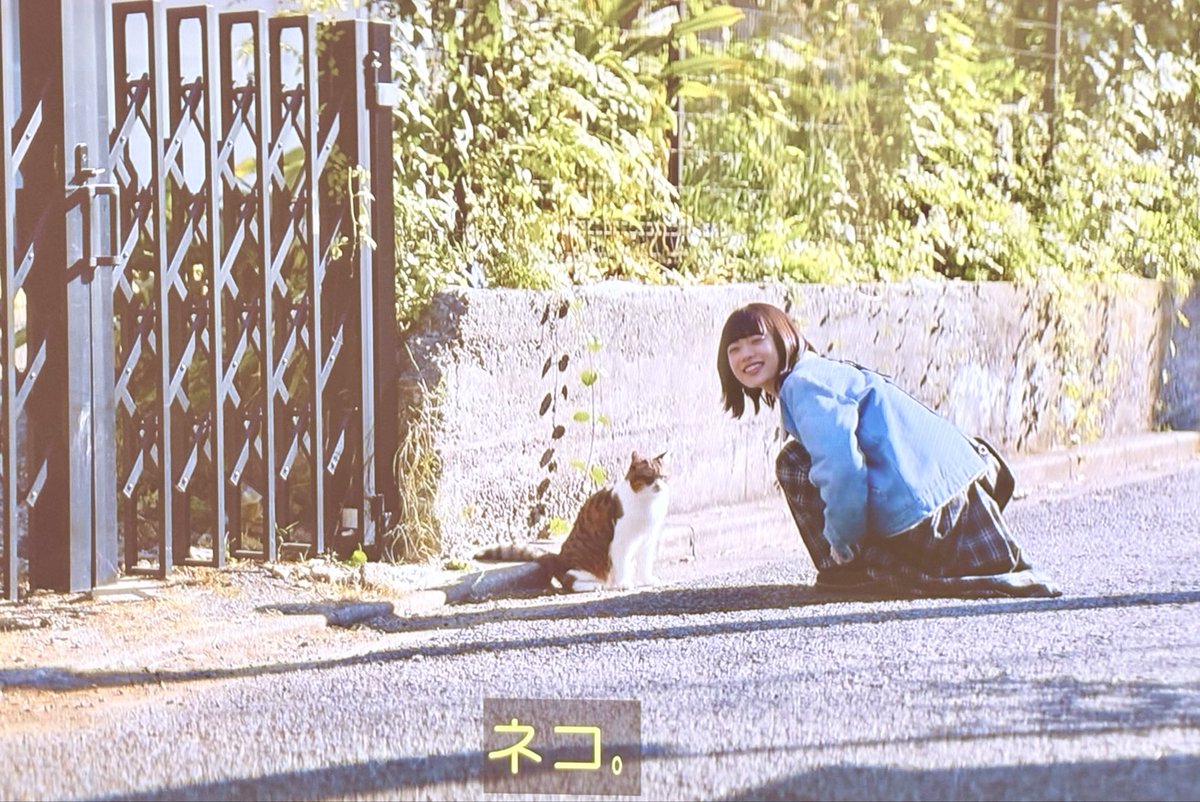 杉咲花ちゃんの笑顔可愛い
3話から一気見したけど
やっぱりこのドラマ好きだわ
恋愛あるある詰まってる
#冬のなんかさ春のなんかね 
#杉咲花