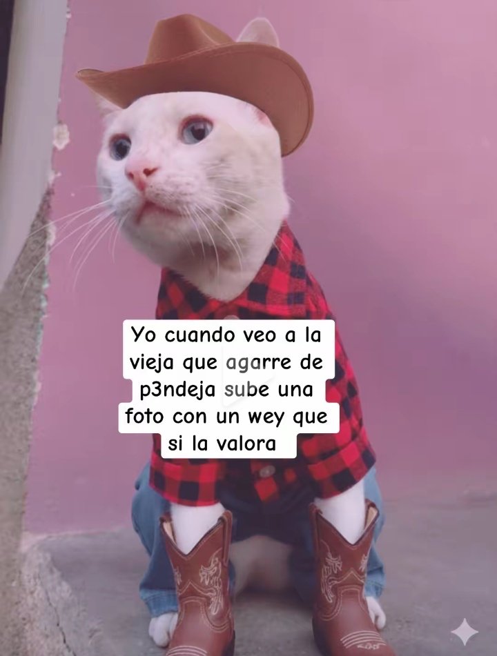 Maestre Mapaxito (@mapaxitouwu) on Twitter photo 