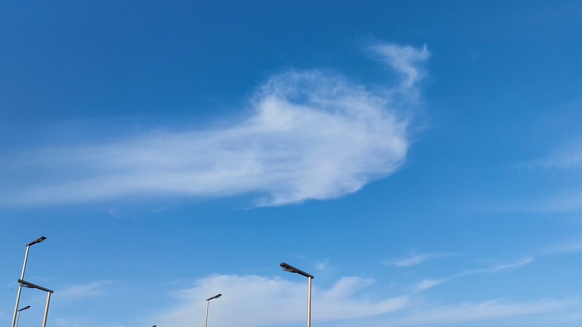 ユキ空 tweet media