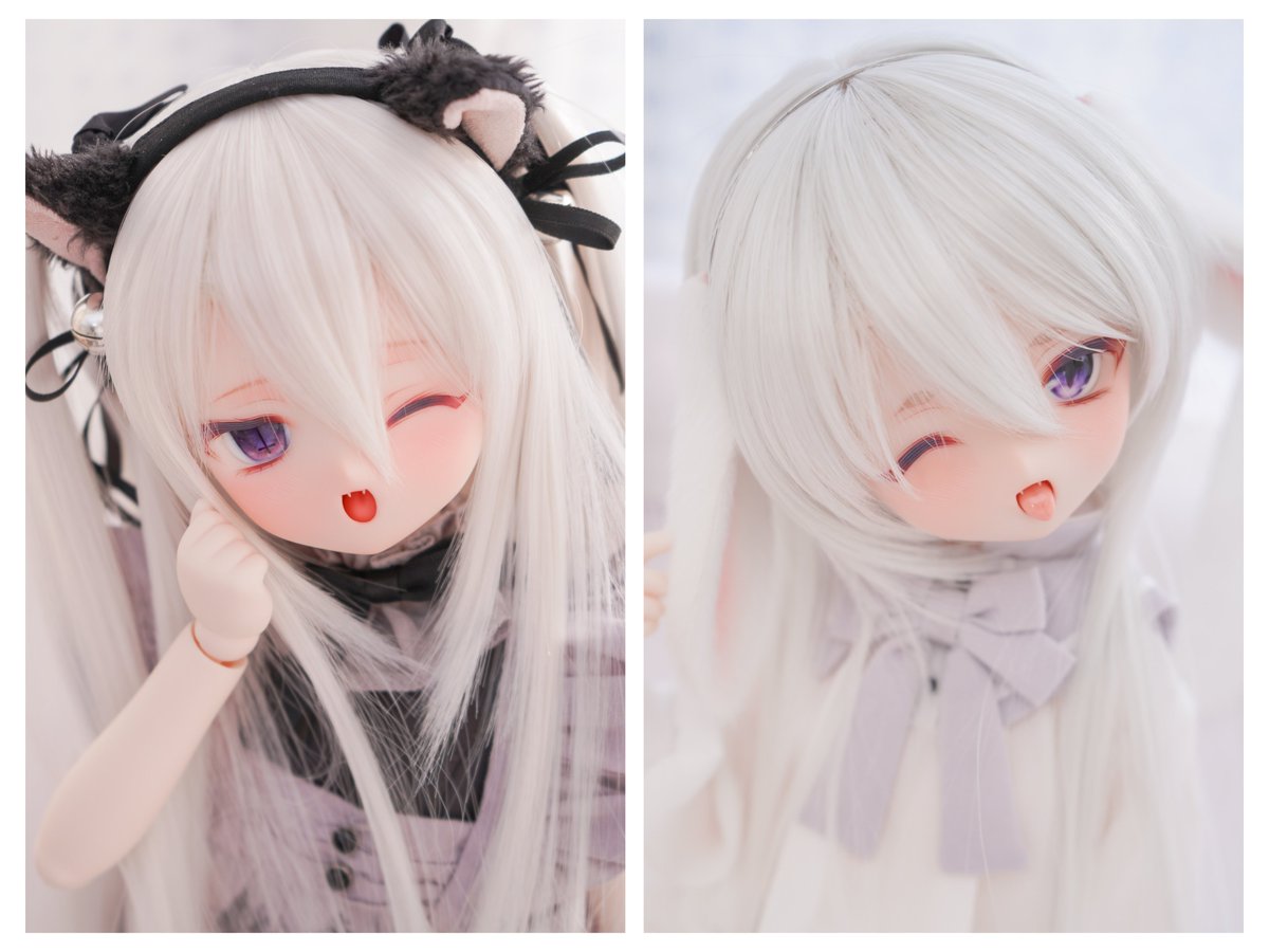 𝘱𝘰𝘮𝘢𝘳𝘪🦙 (@pomari_kiichigo) / Posts / X