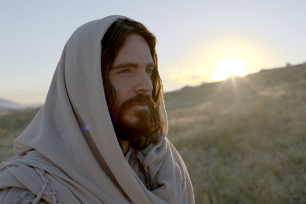 Mons. Ruy Rendón tweet media