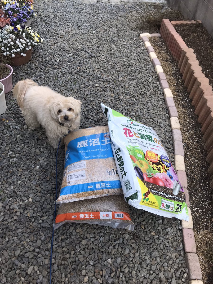 coco (@coco_n) / Posts / X