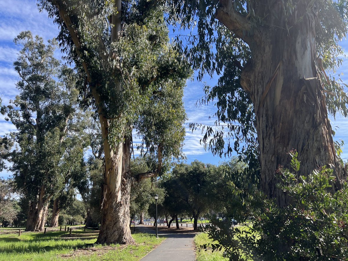 AlxeYangX's tweet photo. Travel  in San Francisco Los Angeles,sil icon vally，travel a long road to make ur mind clear. When u can’t decide choose hard long run decision https://t.co/OksPZuijJj