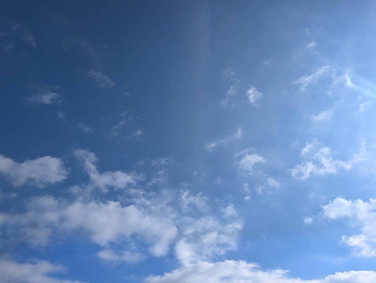 新堂敦士🦁 (@a2c_lion) / Posts / X