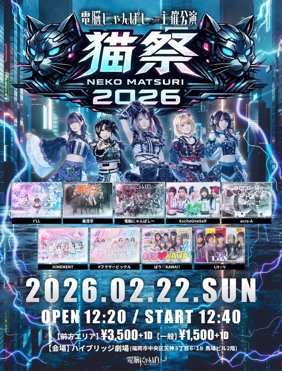 本日のアイルちゃん🤍🐈⚡️】 今日のアイルちゃんは、ゆづき1人です