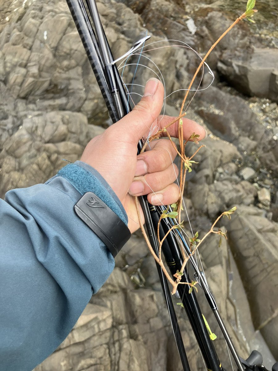 てった tweet media