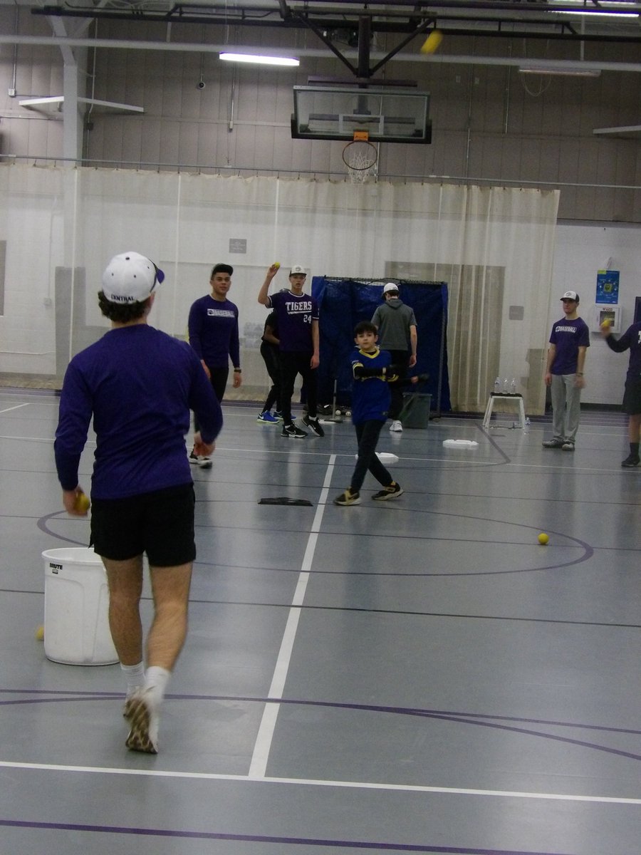 Tiger Baseball tweet media