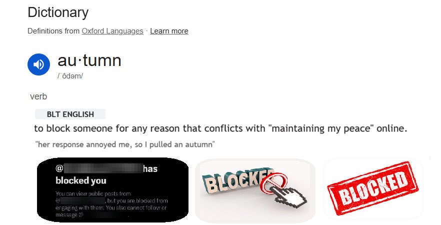 Blocking people who you don’t want to interact with IS mature.
It’s called protecting your peace and cultivating your space, creating a comfortable online environment for your personal use.
Don’t let anyone tell you it’s petty or immature. It’s called boundaries.