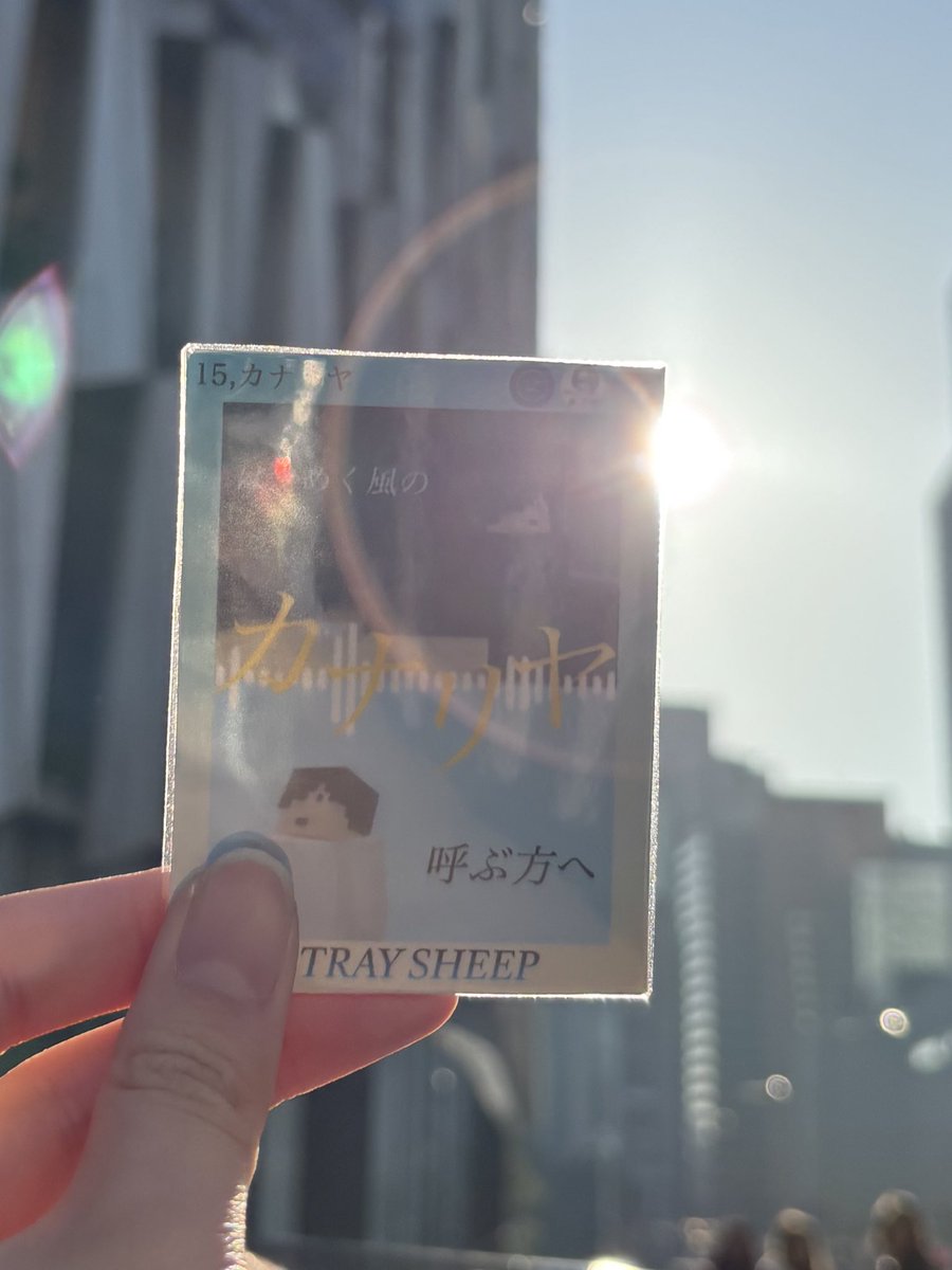 スフレチーズケーキ(たると) tweet media