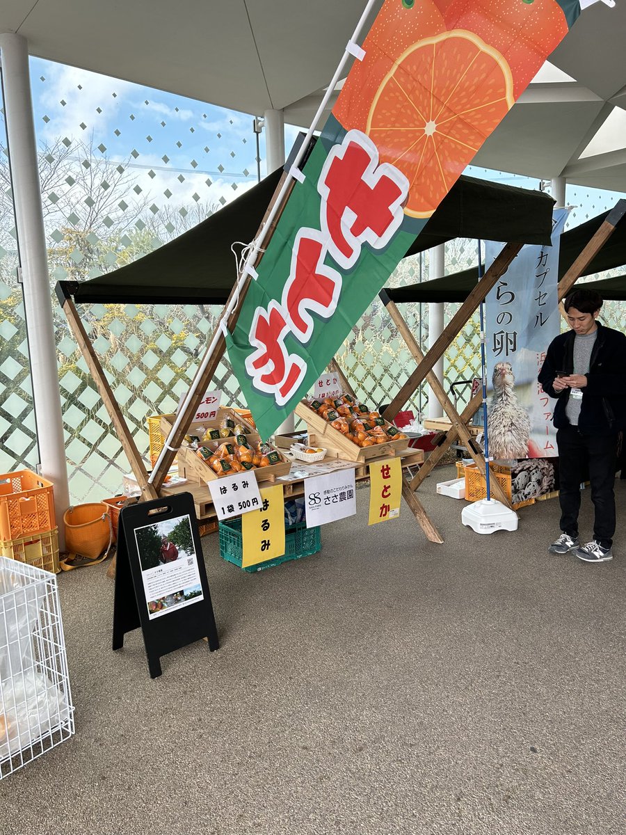 今日は　久しぶりに浜北区のニコエに Nico いちマルシェに出店しております。
当園の販売商品は　せとか　はるみ　レモン🍋です。
その他には　新鮮野菜　椎茸　オリーブ油　いちご🍓　焼き栗など多彩な商品があります。
お時間のある方は　お立ち寄り下さい。