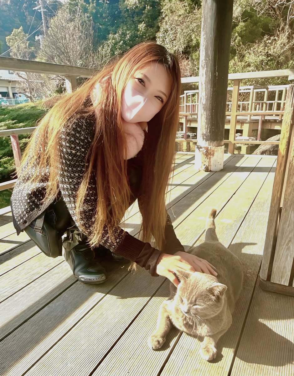 陽だまりや
猫の寝息に
春風そよぐ🌷🌸🐾🤍

世界中の猫ちゃんが
幸せに暮らせますように…

 #ねこの日