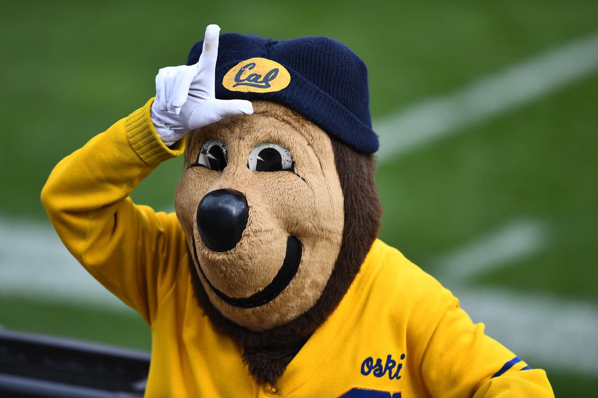 GOLDEN Bearz tweet media