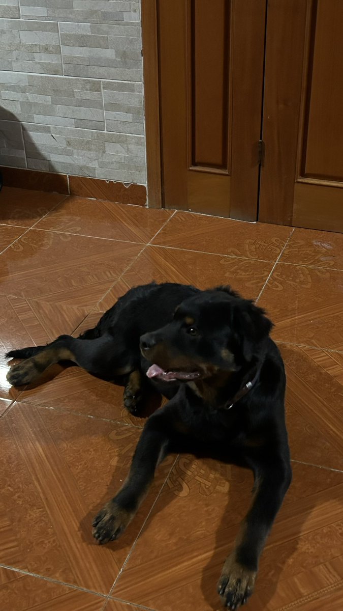 lucymoraless6's tweet photo. hoy nos dió un susto a toda la fam 😭 https://t.co/3PrZqEH88A