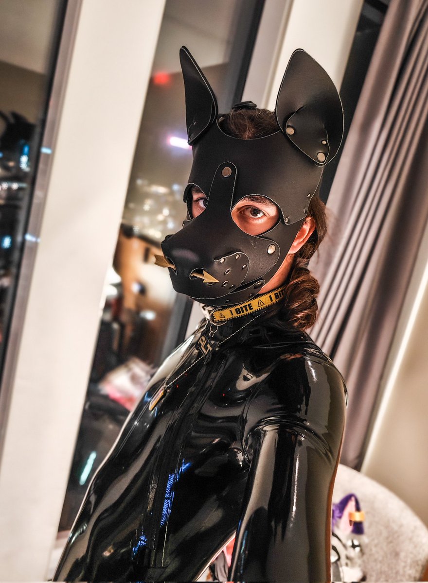 alt 🇬🇬🐺 tweet media