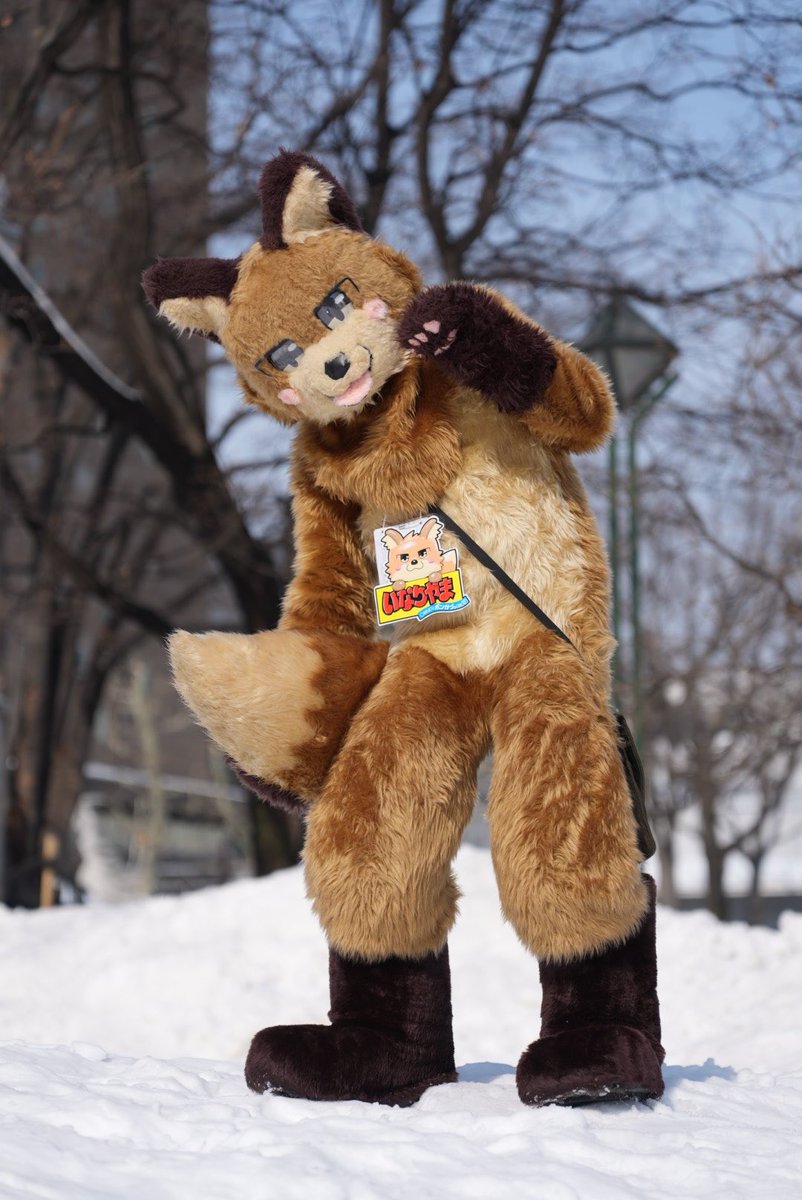 ciao383's tweet image. てへぺろ
📷⁦@sakura_craw⁩