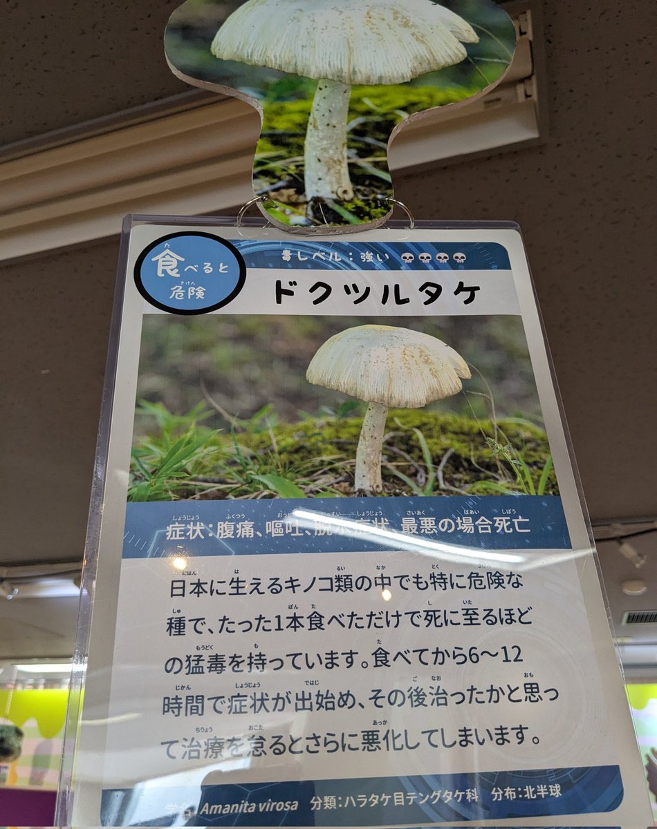 トミー（Tommy） (@0vkkE7zR7tIl8ee) / Posts / X