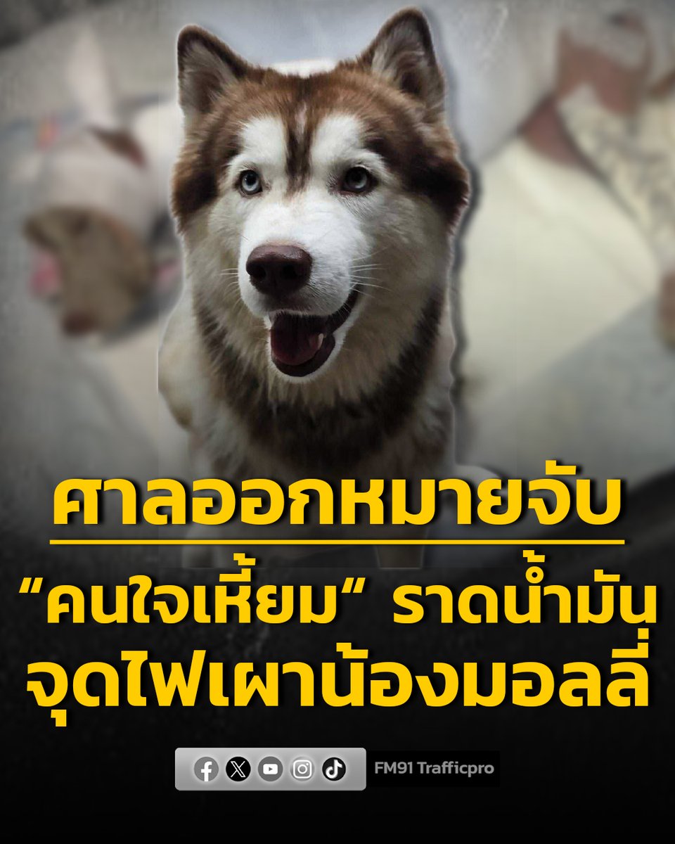 ด่วน!! ศาลออกหมายจับ “คนใจเหี้ยม“ ราดน้ำมันจุดไฟเผา ”น้องมอลลี่“ ตำรวจ สภ.เมืองสงขลา ควบคุมตัวผู้ก่อเหตุตามหมายจับ...ตำรวจเตรียมแถลงข่าว 10.00 น. วันนี้ (22 ก.พ.69)  #ดาวแปดแฉก #น้องมอลลี่ #FM91

ข้อมูลจาก : ดาวแปดแฉก