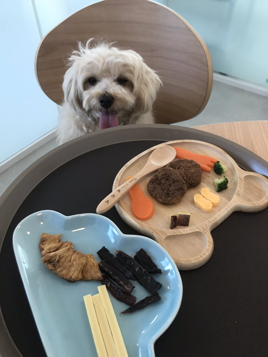 coco (@coco_n) / Posts / X