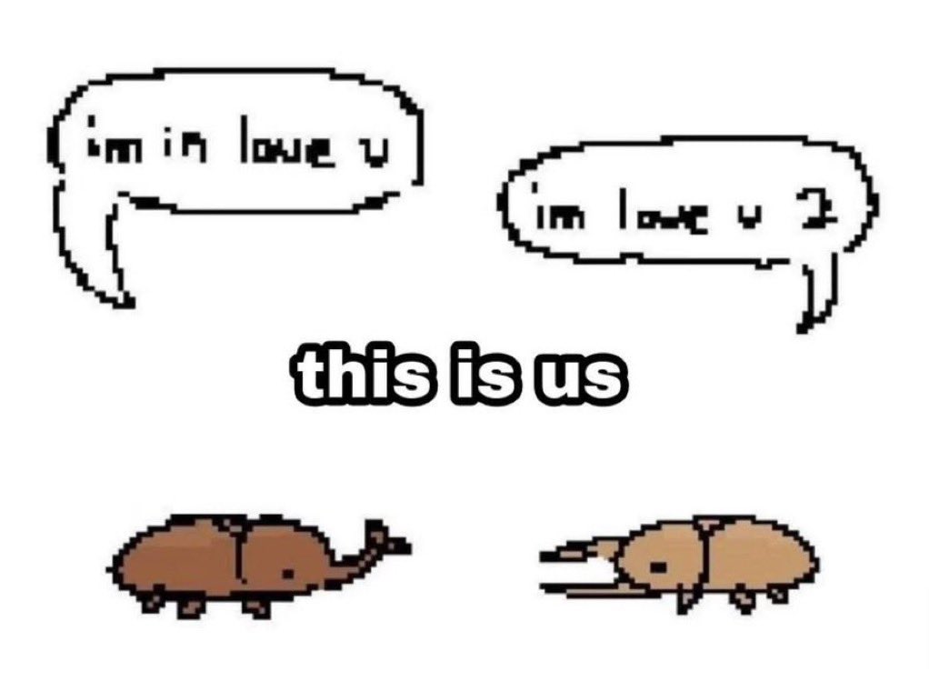 Me & Who? tweet media