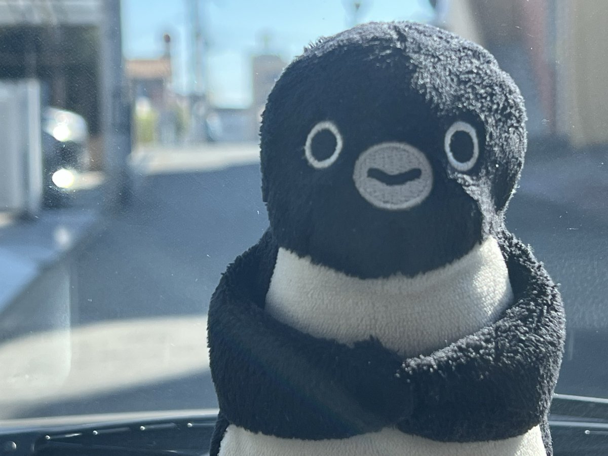 ちょっと行ってくるね🐧