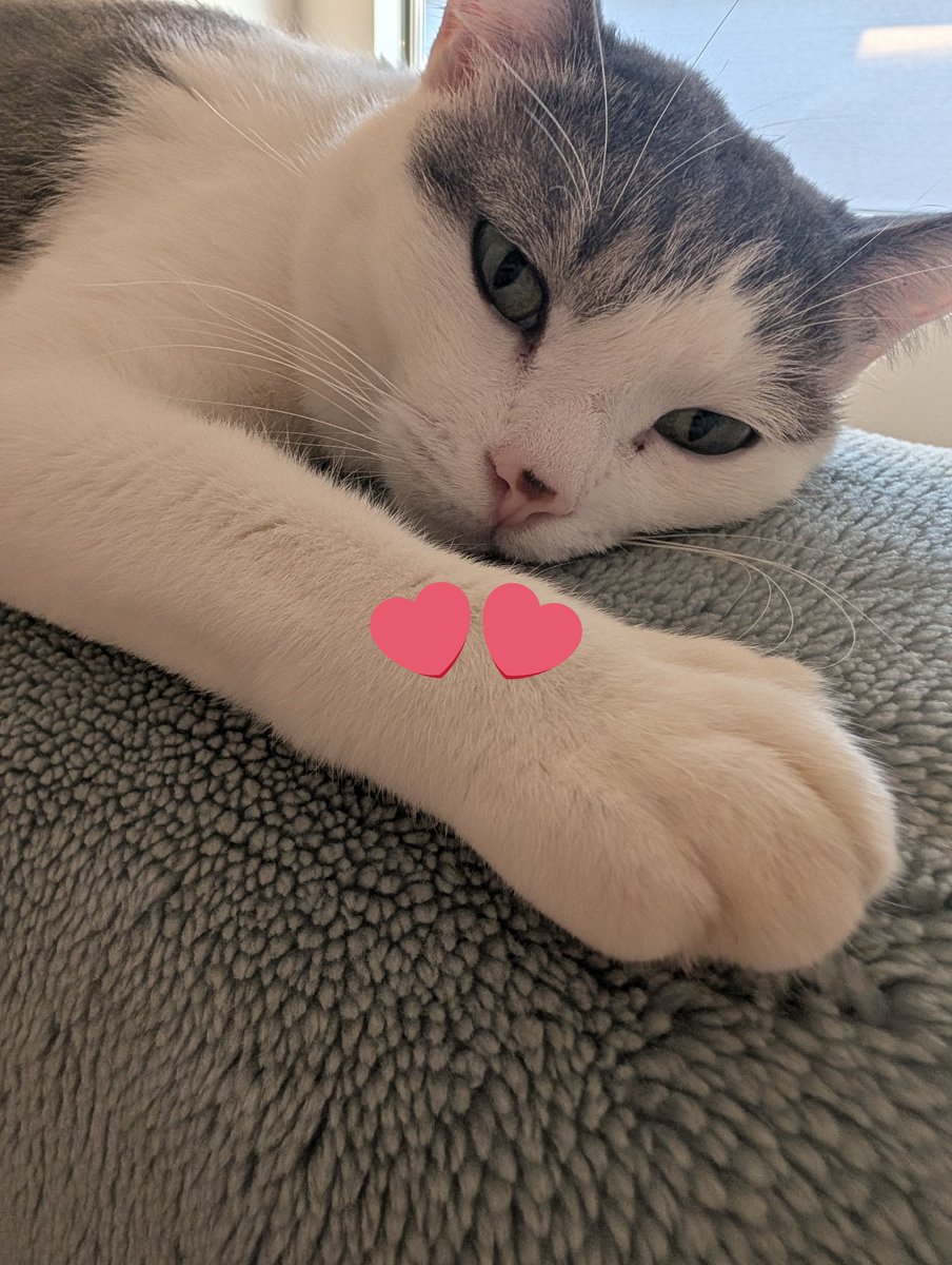 さいぼーぐぬめぬめ子(ぬまのすけぬまたろう) tweet media