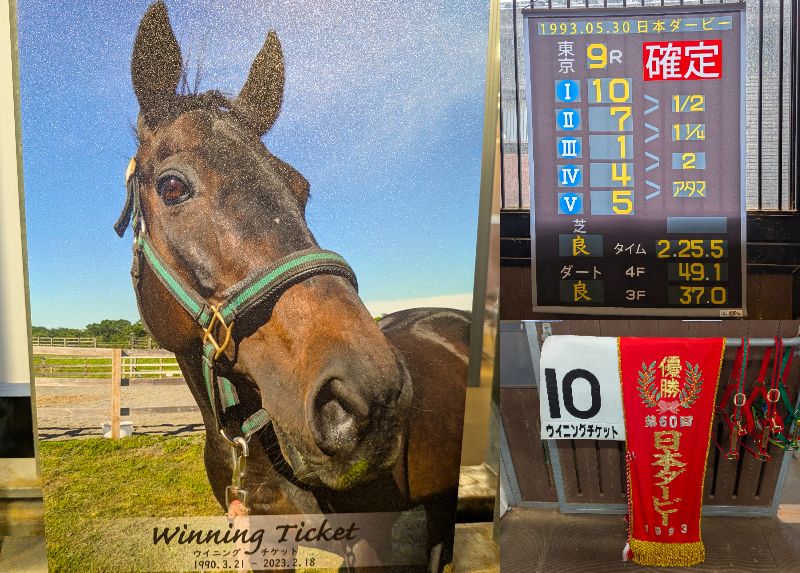 初めて馬事公苑ホースメッセ来てみたけど、結構ウマ娘のパネル多かった