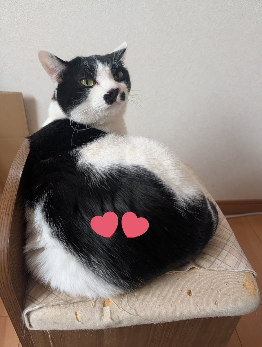 さいぼーぐぬめぬめ子(ぬまのすけぬまたろう) tweet media