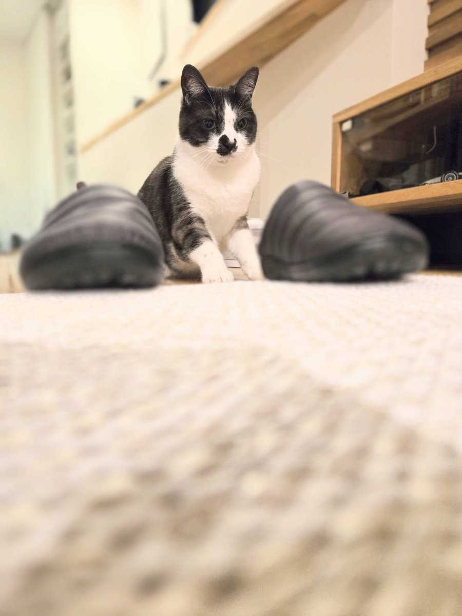 伊藤憲孝 tweet media