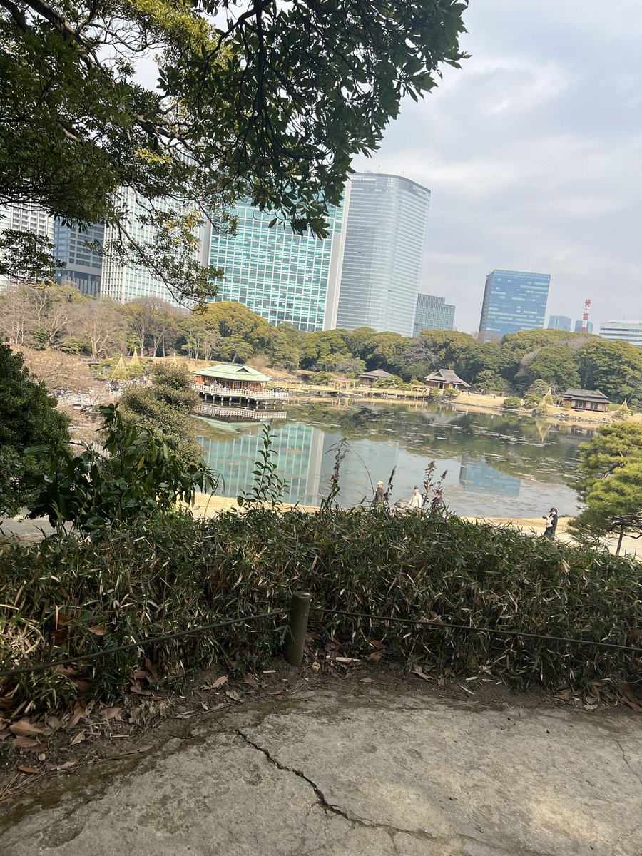 _WADAMAS_'s tweet image. #トラステ厩舎 のある朝