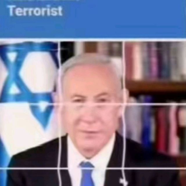 Theo_Null tweet media