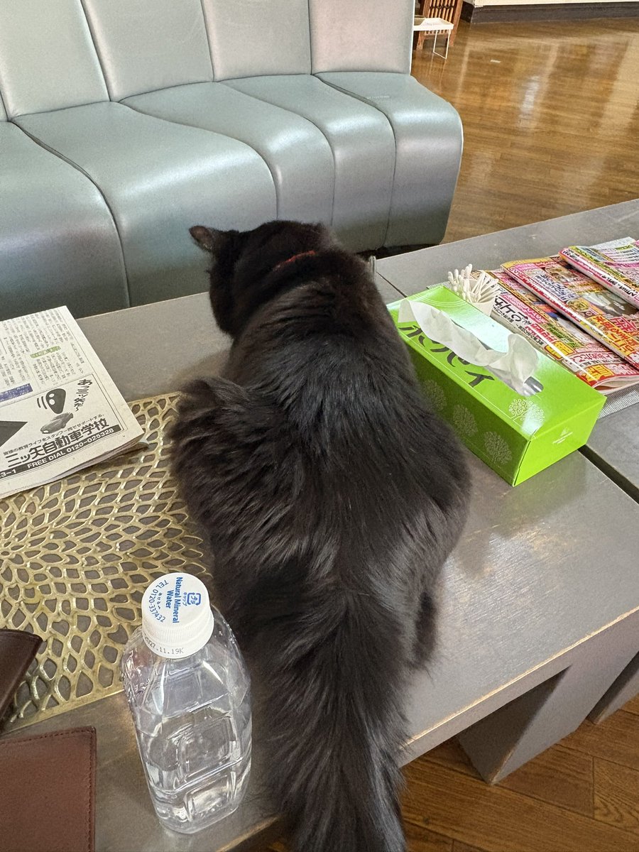 waruagakiする小林 tweet media