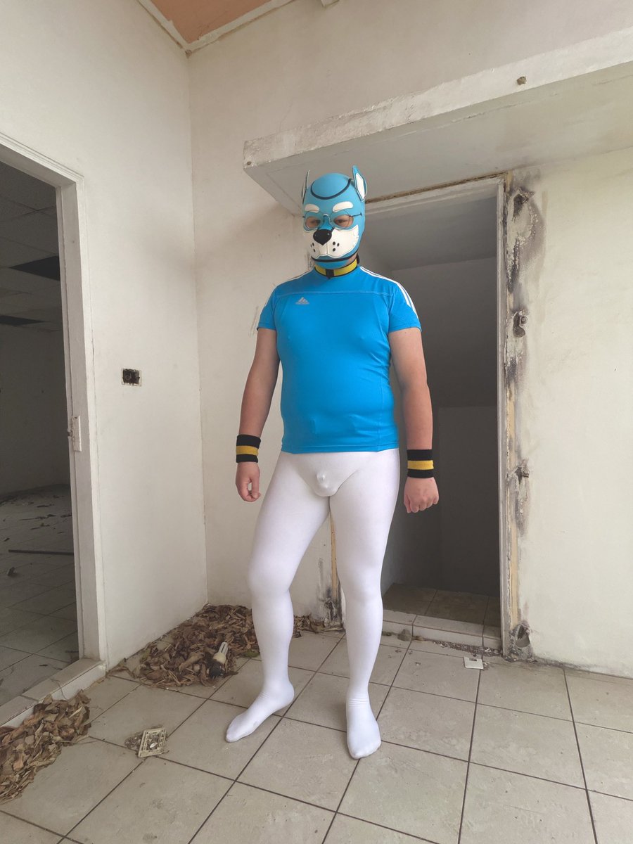 褲襪狗 tweet media