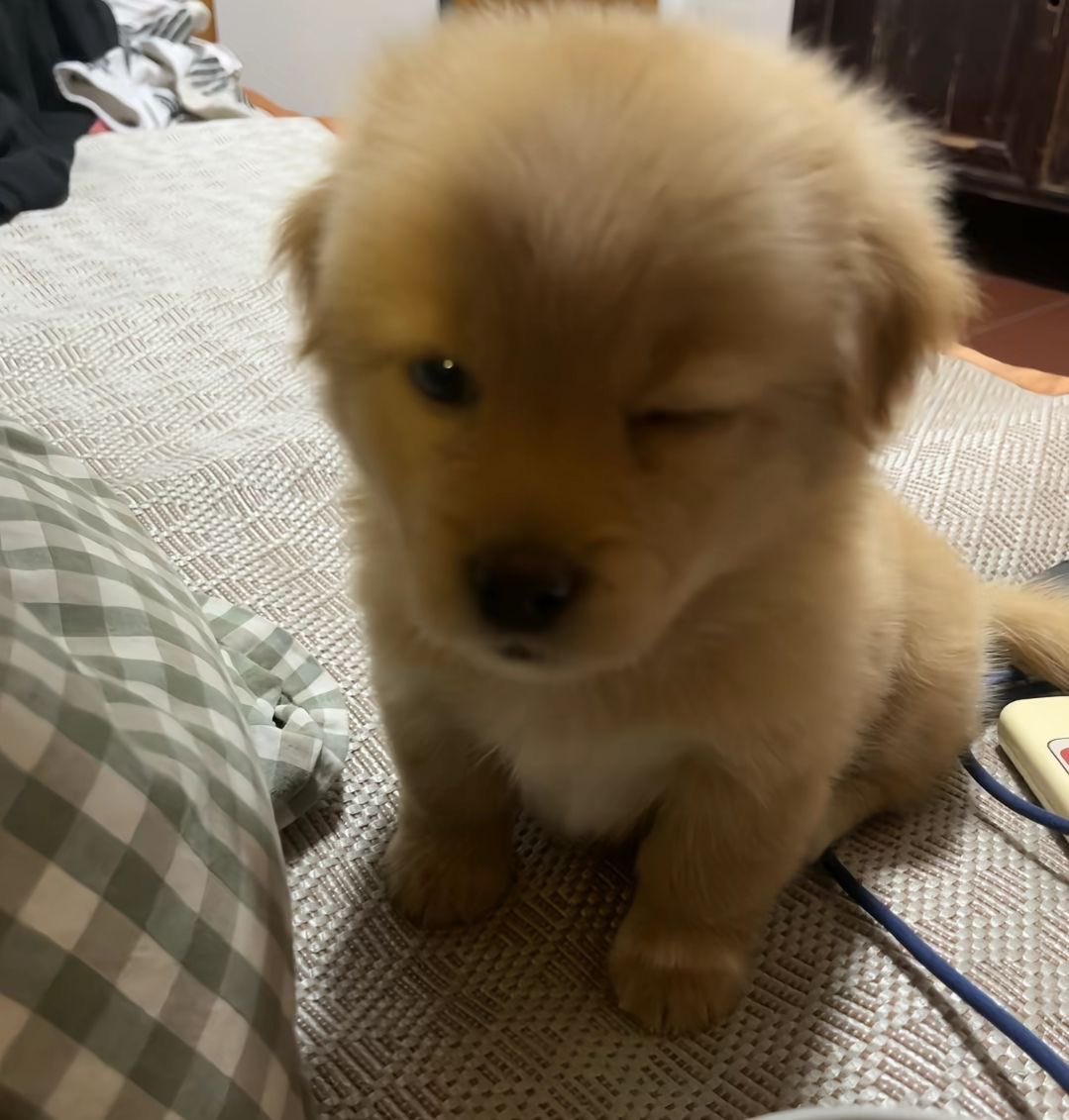 คิบถึมตะเหมอ ม่ายเจอก้รัก รุ้ไม