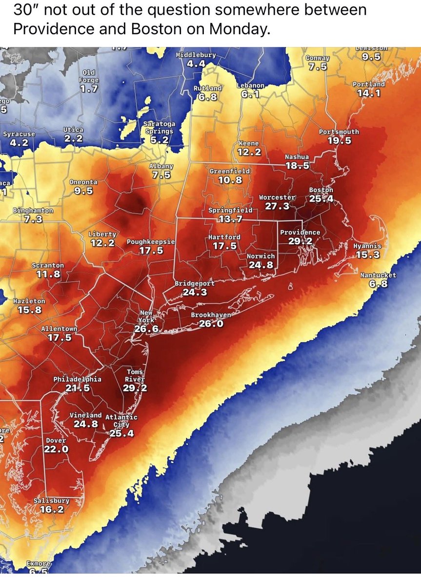 Daphne Zohar tweet media