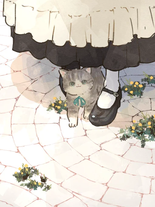 猫の日の足元
