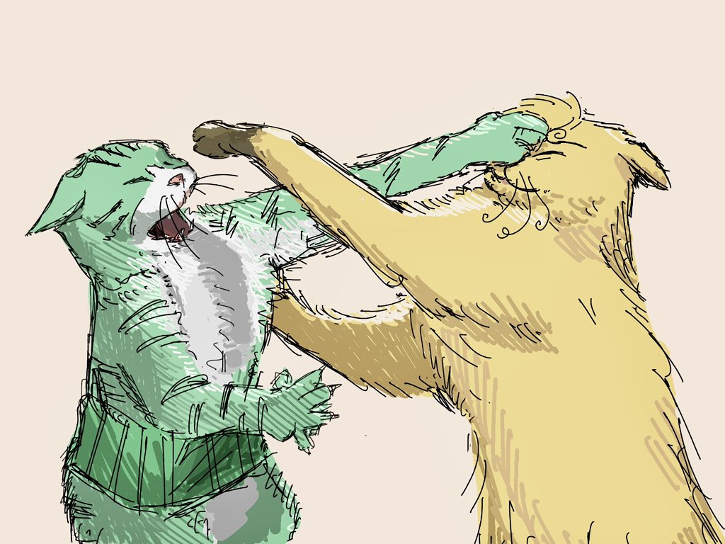 kogoniki32's tweet image. ねこの日
ケンカするねこの両翼💥💥💥💨