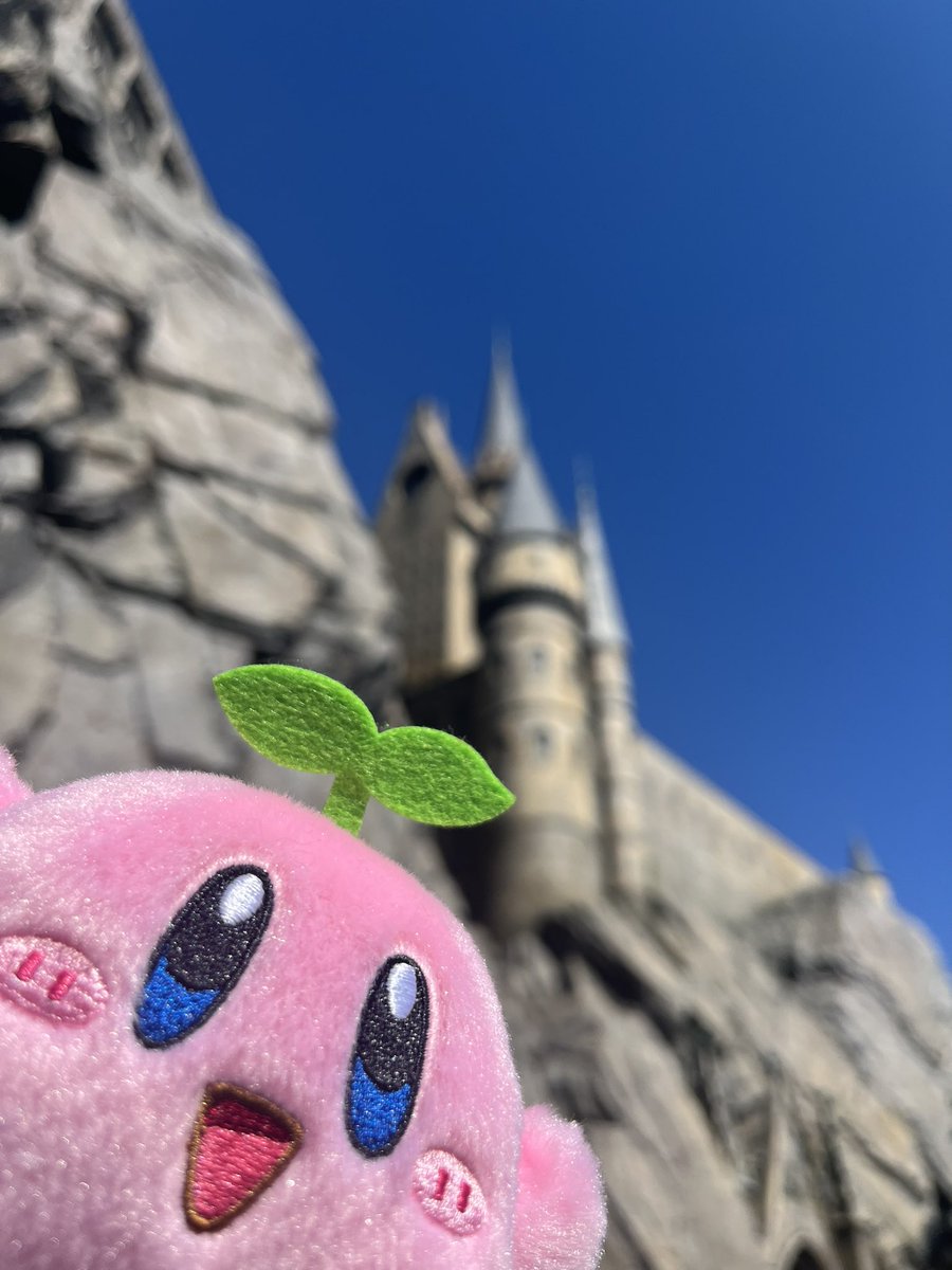 atennnn's tweet photo. カービィ、ホグワーツ城だよ！
ホグワーツ城、カービィだよ！

関西にぺもた@pepelonpemon とお邪魔してます！！ https://t.co/wDjHBgxmrf
