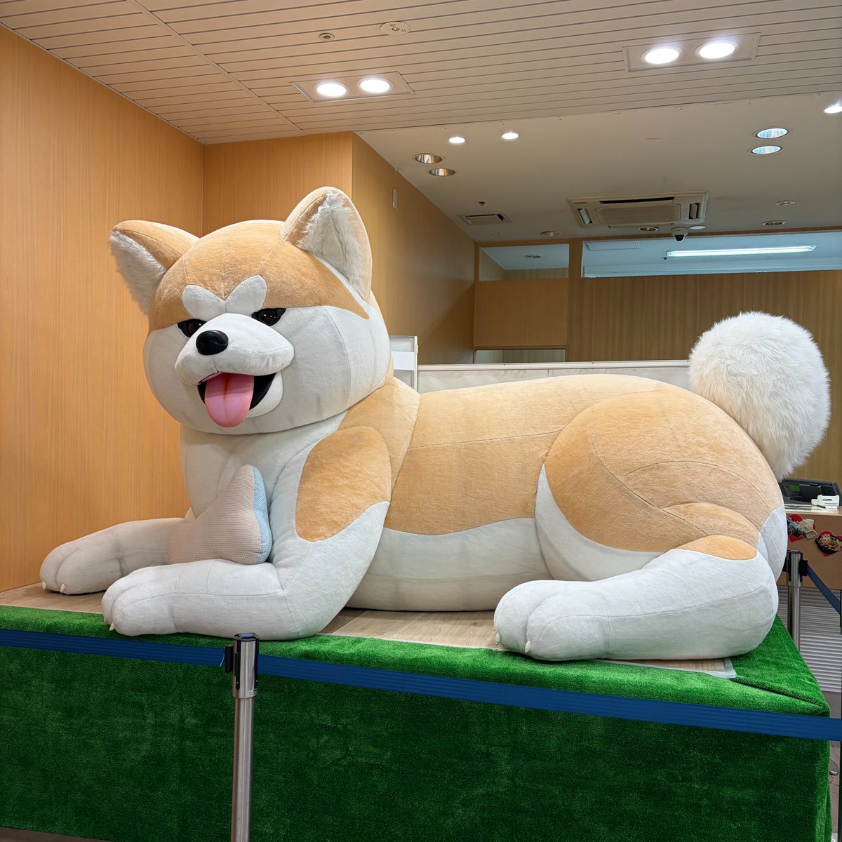 中央線が好きだ。【鉄道編】 tweet media