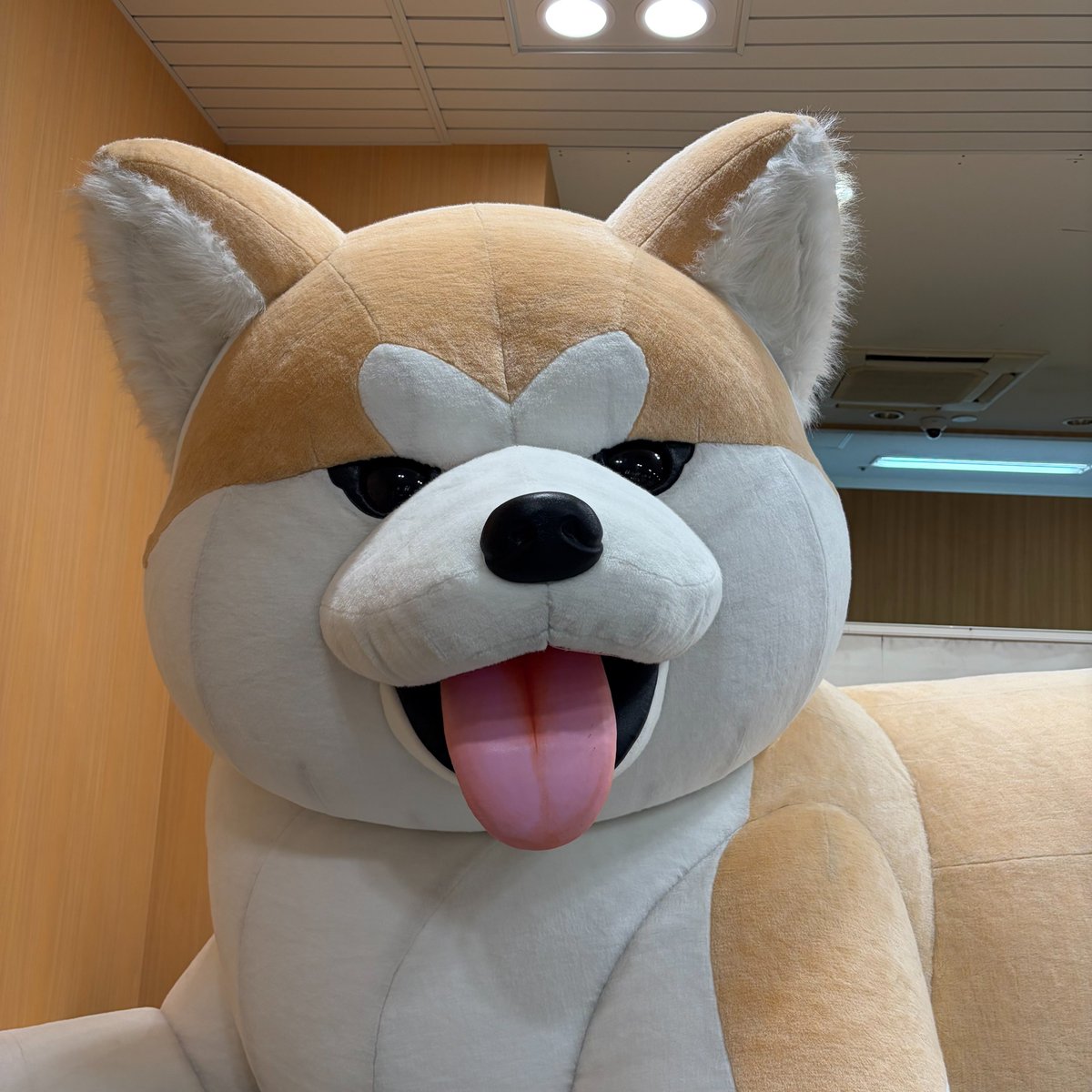 中央線が好きだ。【鉄道編】 tweet media