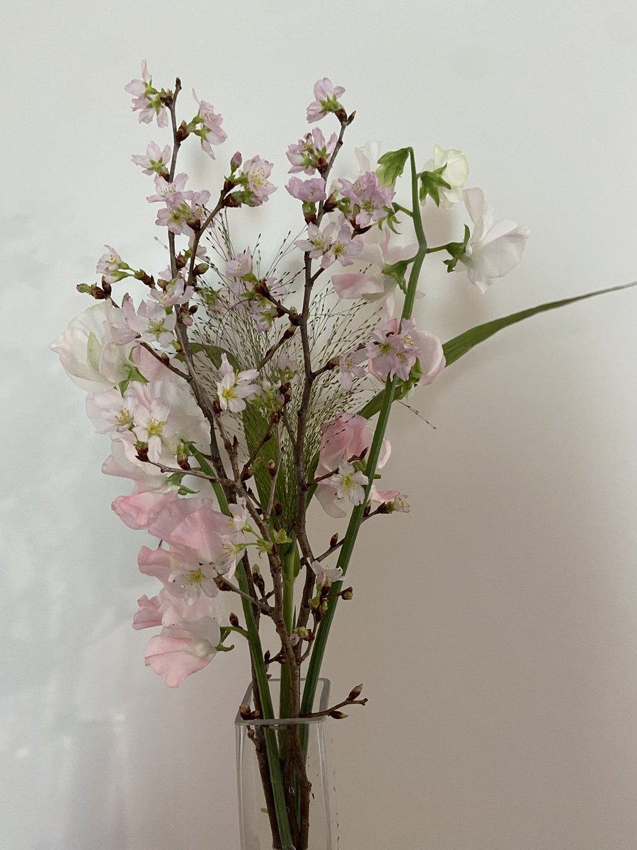 うにまる。（ちゃんねる。） (@unimaru1031) / Posts / X