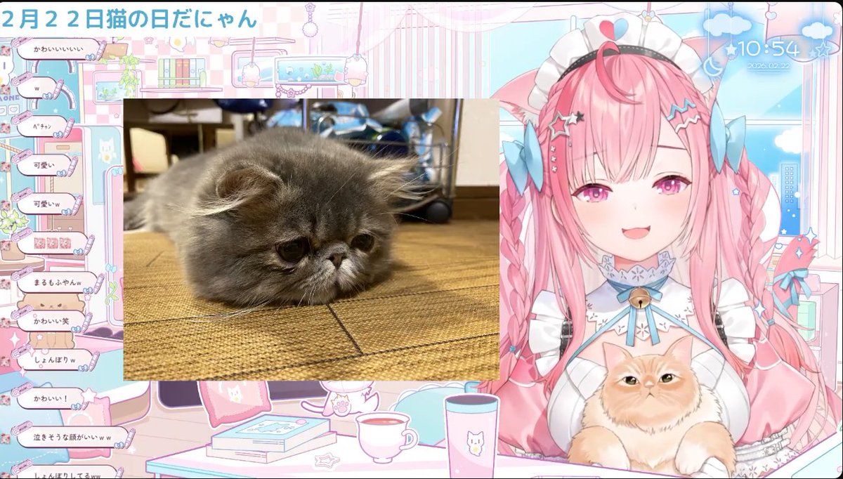 にゃんにゃんの日らしい