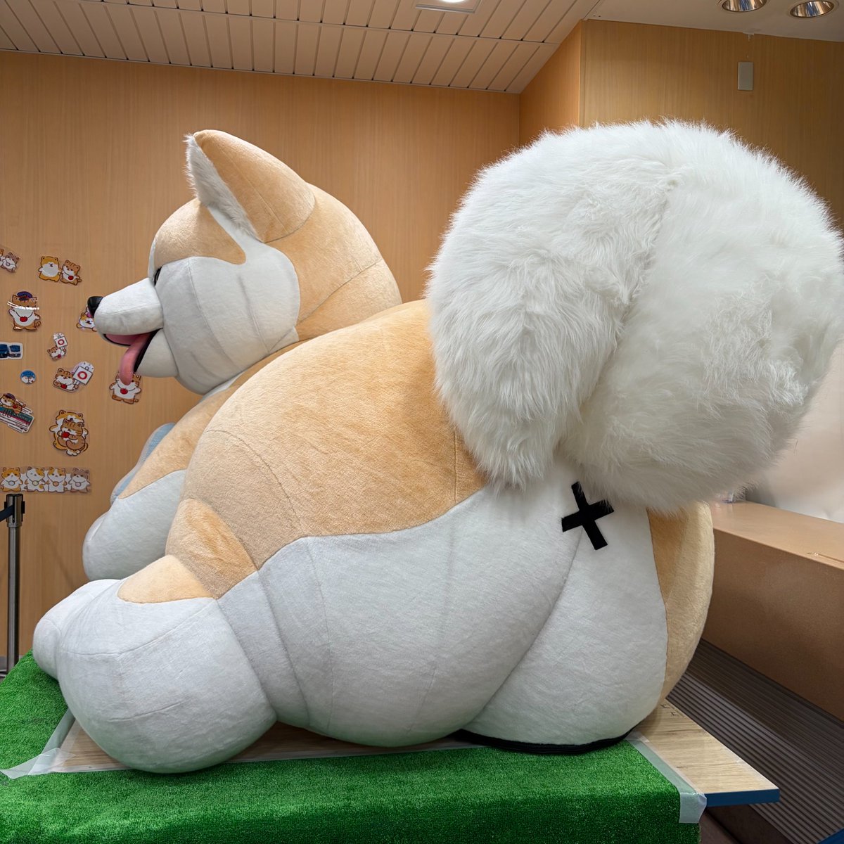 中央線が好きだ。【鉄道編】 tweet media