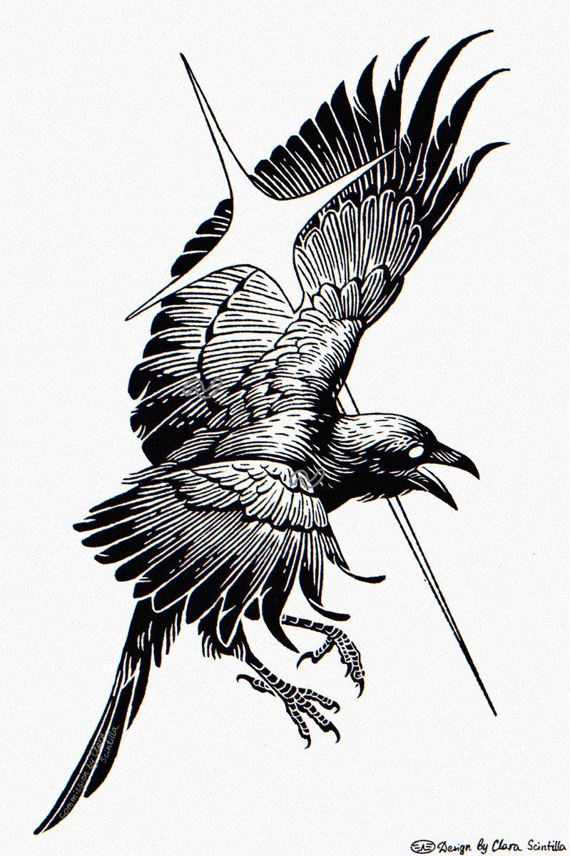 binary sunrise tweet media