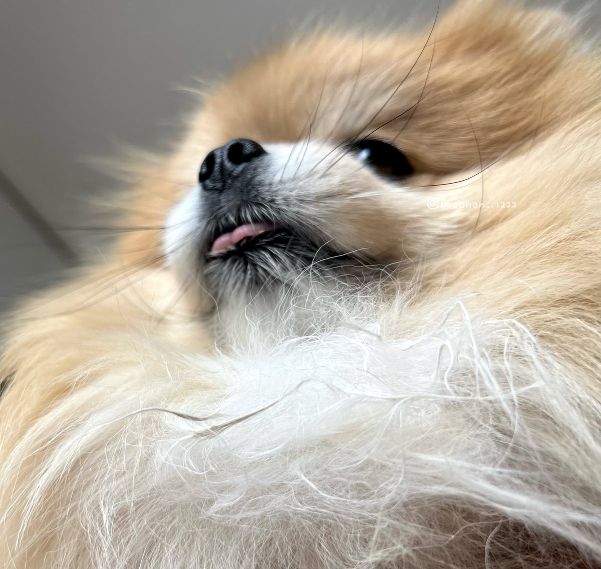 起きたらまいにちこれ☀️