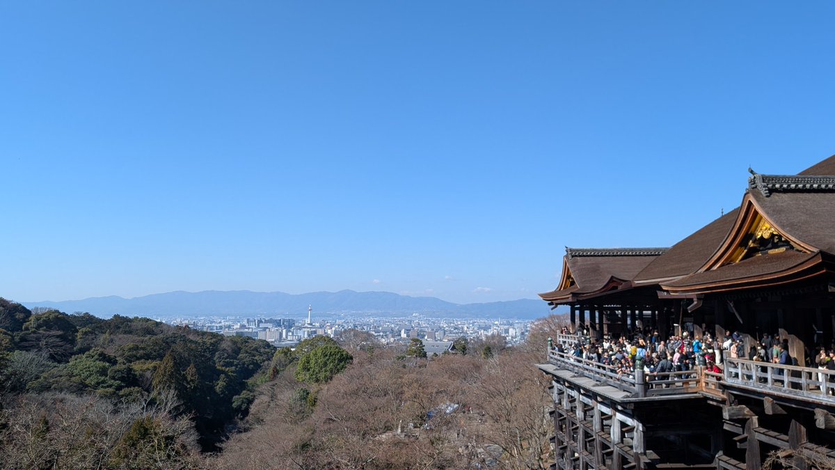 見える…ゴジラが見える！