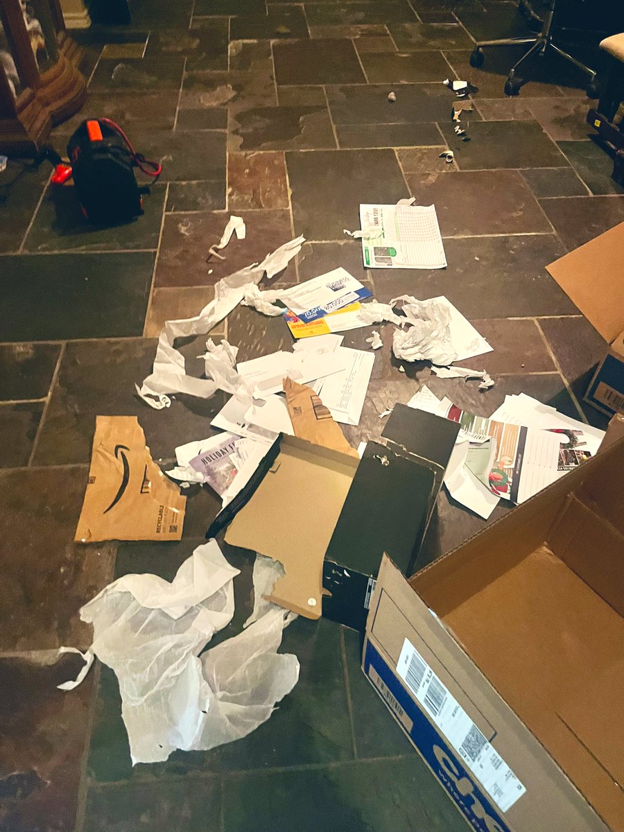 ddoggiesmommy's tweet photo. The faces of three #beagles who had a party when we are out of the house! They also destroyed a board game box #wildweekend #shenanigans https://t.co/O9L0aZSFTg