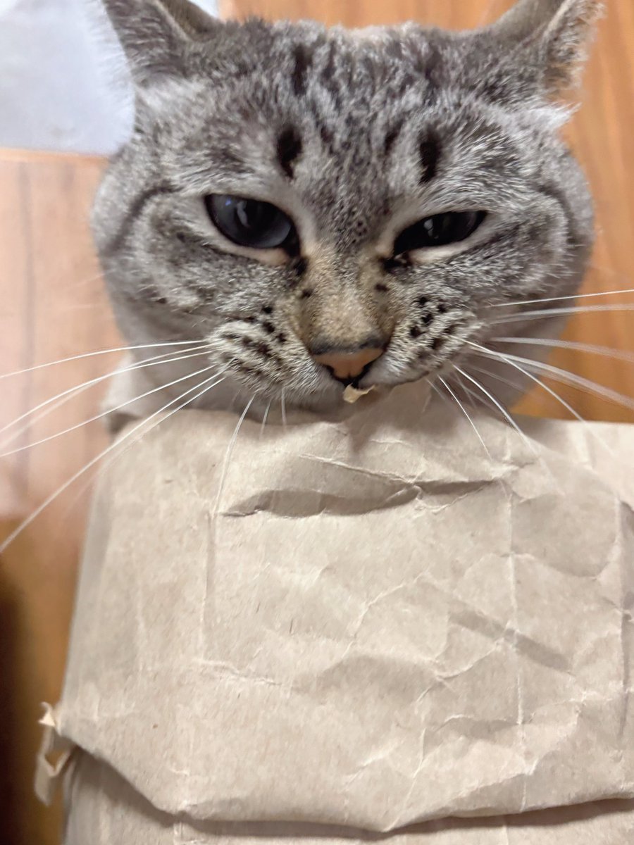 ふぅ (@fuchan0606) / Posts / X