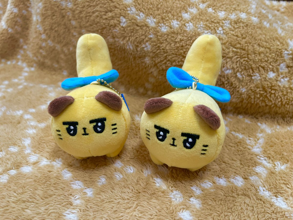 ばにゃ奈💛ばにゃ奈💛