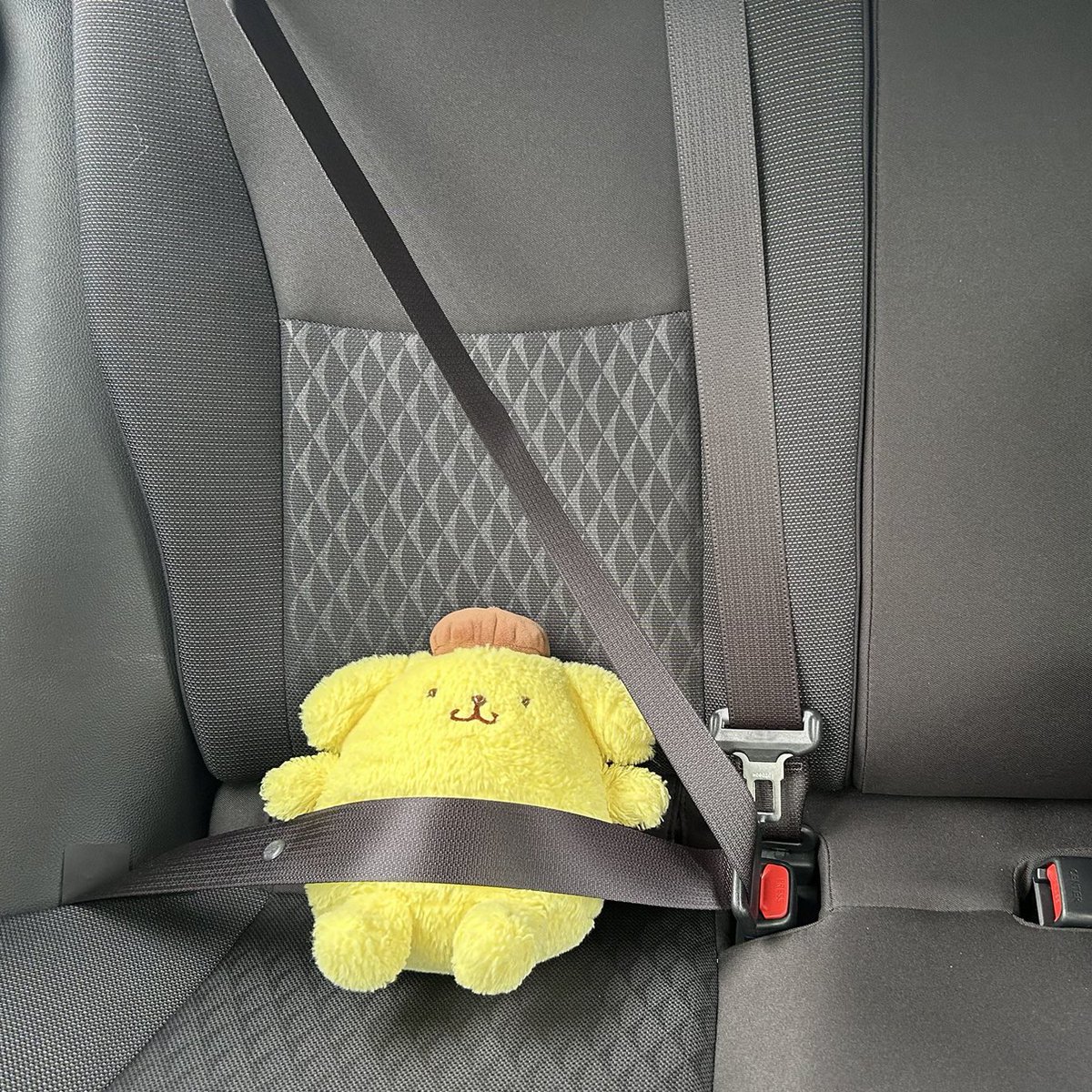 🚙💨 ⚈͒◡⚈͒