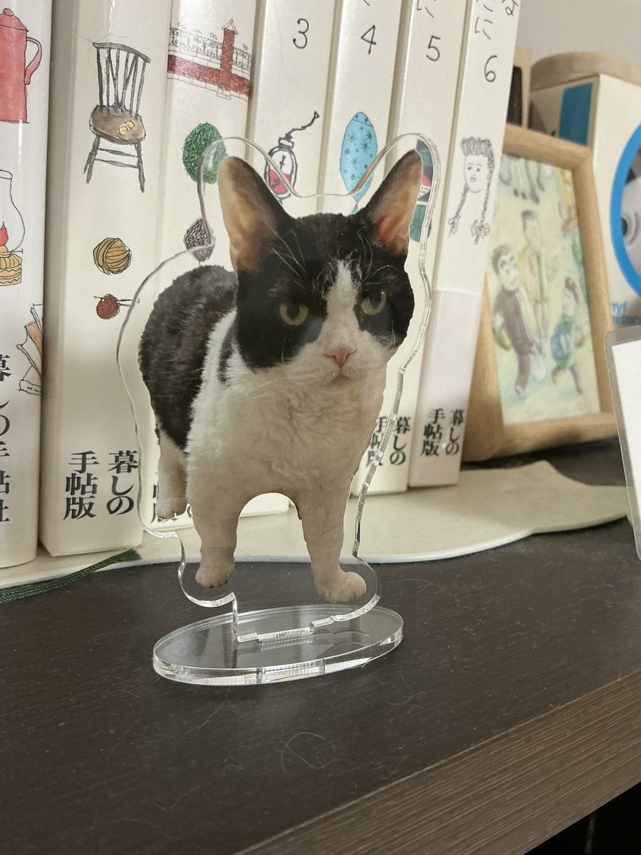 有川ひろと覚しき人（ウザ絡み対策で俺呼称） tweet media